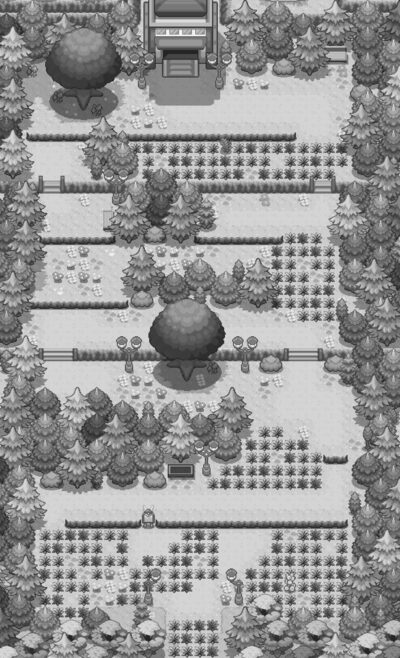 Route 1 (Kanto), Pokémon Wiki